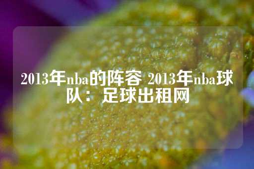 2013年nba的阵容 2013年nba球队：足球出租网-第1张图片-皇冠信用盘出租