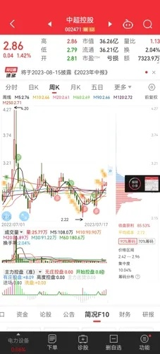 中超控股002471股票为什么它成为投资者的热门选择？